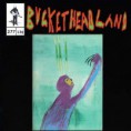 /album/buckethead/buckethead-division-is-the-devil-s-playground-jpg/